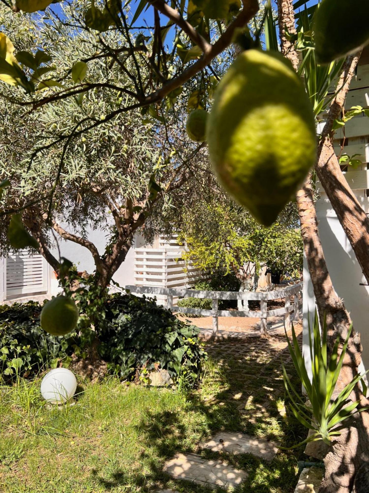 Villa Aurea Ispica Bagian luar foto